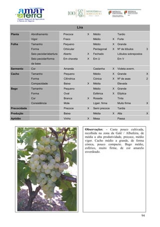 94
Lira
Planta Abrolhamento Precoce X Médio Tardio
Vigor Fraco Médio X Forte
Folha Tamanho Pequeno Médio X Grande
Forma Orbicular Pentagonal X Nº de lóbulos 3
Seio peciolar/abertura Aberto X Fechado Lóbulos sobrepostos
Seio peciolar/forma
da base
Em chaveta X Em U Em V
Sarmento Cor Amarela Castanha X Violeta averm.
Cacho Tamanho Pequeno Médio X Grande X
Forma Cilíndrica Cónica X Nº de asas 2
Compacidade Baixa X Média Elevada
Bago Tamanho Pequeno Médio X Grande
Forma Oval Esférica X Elíptica
Cor Branca X Rosada Tinta
Consistência Mole Ligeir. firme Muito firme X
Precocidade Precoce X Semi precoce Tardia
Produção Baixa Média X Alta X
Aptidão Vinho X Mesa Passa
Observações: - Casta pouco cultivada,
recolhida na zona da Galé / Albufeira, de
média a alta produtividade, precoce, médio
vigor. Cacho médio a grande, de forma
cónica, pouco compacto. Bago médio,
esférico, muito firme, de cor amarelo
esverdeado.
 