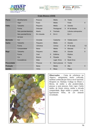 96
Crato Branco (CO3)
Planta Abrolhamento Precoce Médio X Tardio
Vigor Fraco Médio Forte X
Folha Tamanho Pequeno Médio X Grande
Forma Orbicular Pentagonal X Nº de lóbulos 5
Seio peciolar/abertura Aberto X Fechado Lóbulos sobrepostos
Seio peciolar/forma
da base
Em chaveta X Em U Em V
Sarmento Cor Amarela Castanha X Violeta averm.
Cacho Tamanho Pequeno Médio X Grande
Forma Cilíndrica Cónica X Nº de asas 1/2
Compacidade Baixa Média X Elevada X
Bago Tamanho Pequeno Médio X Grande X
Forma Oval X Esférica Elíptica
Cor Branca X Rosada Tinta
Consistência Mole Ligeir. firme X Muito firme
Precocidade Precoce X Semi precoce X Tardia
Produção Baixa Média X Alta X
Aptidão Vinho X Mesa Passa
Observações: - Casta de referência no
Algarve, antigamente muito cultivada,
também conhecida por Síria a nível nacional,
Roupeiro no Alentejo, Codega no Douro e
Beiras, de média a alta produtividade,
precoce a semi precoce, forte vigor. Cacho
médio, de forma cónica, média a elevada
compacidade. Bago médio a grande, oval,
ligeiramente firme, de cor amarelo
esverdeado.
 