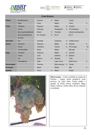 98
Crato Branco
Planta Abrolhamento Precoce X Médio Tardio
Vigor Fraco Médio Forte X
Folha Tamanho Pequeno Médio X Grande
Forma Orbicular Pentagonal X Nº de lóbulos 3
Seio peciolar/abertura Aberto X Fechado Lóbulos sobrepostos
Seio peciolar/forma
da base
Em chaveta X Em U Em V
Sarmento Cor Amarela Castanha X Violeta averm.
Cacho Tamanho Pequeno Médio X Grande X
Forma Cilíndrica Cónica X Nº de asas 1/2
Compacidade Baixa Média Elevada X
Bago Tamanho Pequeno Médio X Grande
Forma Oval Esférica X Elíptica
Cor Branca X Rosada Tinta
Consistência Mole Ligeir. firme Muito firme X
Precocidade Precoce Semi precoce X Tardia
Produção Baixa Média Alta X
Aptidão Vinho X Mesa Passa
Observações: - Casta recolhida na região de
Porches / Lagoa, muito produtiva, semi
precoce, de vigor forte. Cacho médio a
grande, de forma cónica, compacto. Bago
médio, esférico, muito firme, de cor amarelo
esverdeado.
 
