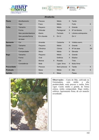 102
Alvadurão
Planta Abrolhamento Precoce Médio X Tardio
Vigor Fraco Médio Forte X
Folha Tamanho Pequeno Médio X Grande
Forma Orbicular Pentagonal X Nº de lóbulos 3
Seio peciolar/abertura Aberto Fechado X Lóbulos sobrepostos
Seio peciolar/forma
da base
Em chaveta X Em U Em V
Sarmento Cor Amarela Castanha X Violeta averm.
Cacho Tamanho Pequeno Médio X Grande X
Forma Cilíndrica Cónica X Nº de asas 3/4
Compacidade Baixa Média X Elevada
Bago Tamanho Pequeno Médio X Grande
Forma Oval Esférica X Elíptica
Cor Branca X Rosada Tinta
Consistência Mole Ligeir. firme X Muito firme
Precocidade Precoce Semi precoce X Tardia X
Produção Baixa Média X Alta X
Aptidão Vinho X Mesa Passa
Observações: - Casta do Dão, cultivada na
Estremadura, com média a alta
produtividade, semi precoce a tardia, forte
vigor. Cacho médio a grande, de forma
cónica, média compacidade. Bago médio,
esférico, ligeiramente firme, de cor amarelo
esverdeado.
 