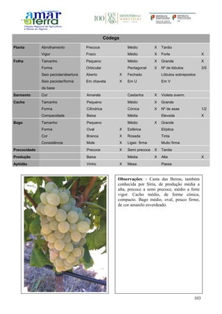 103
Códega
Planta Abrolhamento Precoce Médio X Tardio
Vigor Fraco Médio X Forte X
Folha Tamanho Pequeno Médio X Grande X
Forma Orbicular Pentagonal X Nº de lóbulos 3/5
Seio peciolar/abertura Aberto X Fechado Lóbulos sobrepostos
Seio peciolar/forma
da base
Em chaveta X Em U Em V
Sarmento Cor Amarela Castanha X Violeta averm.
Cacho Tamanho Pequeno Médio X Grande
Forma Cilíndrica Cónica X Nº de asas 1/2
Compacidade Baixa Média Elevada X
Bago Tamanho Pequeno Médio X Grande
Forma Oval X Esférica Elíptica
Cor Branca X Rosada Tinta
Consistência Mole X Ligeir. firme Muito firme
Precocidade Precoce X Semi precoce X Tardia
Produção Baixa Média X Alta X
Aptidão Vinho X Mesa Passa
Observações: - Casta das Beiras, também
conhecida por Síria, de produção média a
alta, precoce a semi precoce, médio a forte
vigor. Cacho médio, de forme cónica,
compacto. Bago médio, oval, pouco firme,
de cor amarelo esverdeado.
 