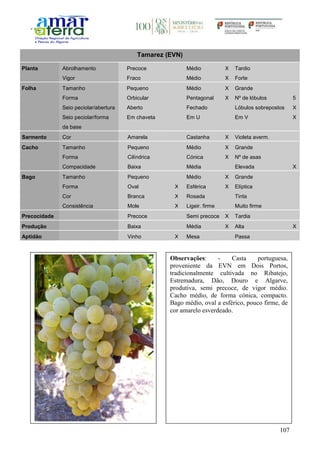 107
Tamarez (EVN)
Planta Abrolhamento Precoce Médio X Tardio
Vigor Fraco Médio X Forte
Folha Tamanho Pequeno Médio X Grande
Forma Orbicular Pentagonal X Nº de lóbulos 5
Seio peciolar/abertura Aberto Fechado Lóbulos sobrepostos X
Seio peciolar/forma
da base
Em chaveta Em U Em V X
Sarmento Cor Amarela Castanha X Violeta averm.
Cacho Tamanho Pequeno Médio X Grande
Forma Cilíndrica Cónica X Nº de asas
Compacidade Baixa Média Elevada X
Bago Tamanho Pequeno Médio X Grande
Forma Oval X Esférica X Elíptica
Cor Branca X Rosada Tinta
Consistência Mole X Ligeir. firme Muito firme
Precocidade Precoce Semi precoce X Tardia
Produção Baixa Média X Alta X
Aptidão Vinho X Mesa Passa
Observações: - Casta portuguesa,
proveniente da EVN em Dois Portos,
tradicionalmente cultivada no Ribatejo,
Estremadura, Dão, Douro e Algarve,
produtiva, semi precoce, de vigor médio.
Cacho médio, de forma cónica, compacto.
Bago médio, oval a esférico, pouco firme, de
cor amarelo esverdeado.
 
