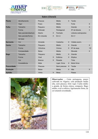 110
Sabro (Clone3)
Planta Abrolhamento Precoce Médio X Tardio
Vigor Fraco Médio Forte X
Folha Tamanho Pequeno Médio Grande X
Forma Orbicular Pentagonal Nº de lóbulos 3
Seio peciolar/abertura Aberto X Fechado Lóbulos sobrepostos
Seio peciolar/forma
da base
Em chaveta X Em U Em V
Sarmento Cor Amarela Castanha X Violeta averm.
Cacho Tamanho Pequeno Médio X Grande X
Forma Cilíndrica Cónica X Nº de asas 1/2
Compacidade Baixa Média Elevada X
Bago Tamanho Pequeno Médio X Grande
Forma Oval X Esférica X Elíptica
Cor Branca X Rosada Tinta
Consistência Mole Ligeir. firme X Muito firme
Precocidade Precoce Semi precoce X Tardia
Produção Baixa Média X Alta X
Aptidão Vinho X Mesa Passa
Observações: - Casta portuguesa, pouco
cultivada no Algarve, com produção média
alta, semi precoce, forte vigor. Cacho médio
a grande, de forma cónica, compacto. Bago
médio, oval a esférico, ligeiramente firme, de
cor amarelo esverdeado.
 