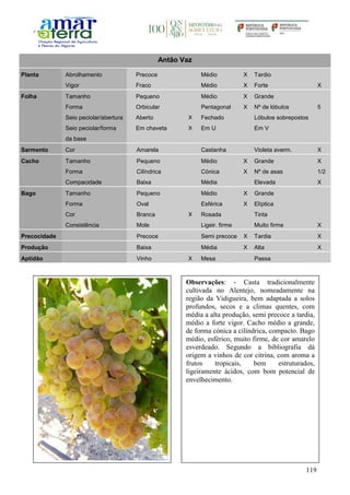 119
Antão Vaz
Planta Abrolhamento Precoce Médio X Tardio
Vigor Fraco Médio X Forte X
Folha Tamanho Pequeno Médio X Grande
Forma Orbicular Pentagonal X Nº de lóbulos 5
Seio peciolar/abertura Aberto X Fechado Lóbulos sobrepostos
Seio peciolar/forma
da base
Em chaveta X Em U Em V
Sarmento Cor Amarela Castanha Violeta averm. X
Cacho Tamanho Pequeno Médio X Grande X
Forma Cilíndrica Cónica X Nº de asas 1/2
Compacidade Baixa Média Elevada X
Bago Tamanho Pequeno Médio X Grande
Forma Oval Esférica X Elíptica
Cor Branca X Rosada Tinta
Consistência Mole Ligeir. firme Muito firme X
Precocidade Precoce Semi precoce X Tardia X
Produção Baixa Média X Alta X
Aptidão Vinho X Mesa Passa
Observações: - Casta tradicionalmente
cultivada no Alentejo, nomeadamente na
região da Vidigueira, bem adaptada a solos
profundos, secos e a climas quentes, com
média a alta produção, semi precoce a tardia,
médio a forte vigor. Cacho médio a grande,
de forma cónica a cilíndrica, compacto. Bago
médio, esférico, muito firme, de cor amarelo
esverdeado. Segundo a bibliografia dá
origem a vinhos de cor citrina, com aroma a
frutos tropicais, bem estruturados,
ligeiramente ácidos, com bom potencial de
envelhecimento.
 