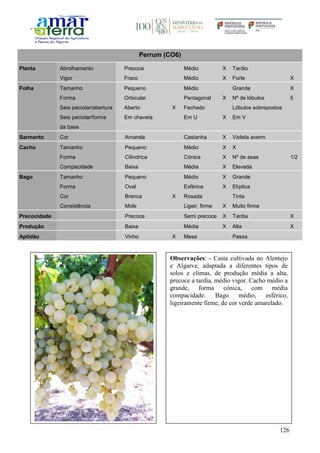 126
Perrum (CO6)
Planta Abrolhamento Precoce Médio X Tardio
Vigor Fraco Médio X Forte X
Folha Tamanho Pequeno Médio Grande X
Forma Orbicular Pentagonal X Nº de lóbulos 5
Seio peciolar/abertura Aberto X Fechado Lóbulos sobrepostos
Seio peciolar/forma
da base
Em chaveta Em U X Em V
Sarmento Cor Amarela Castanha X Violeta averm.
Cacho Tamanho Pequeno Médio X X
Forma Cilíndrica Cónica X Nº de asas 1/2
Compacidade Baixa Média X Elevada
Bago Tamanho Pequeno Médio X Grande
Forma Oval Esférica X Elíptica
Cor Branca X Rosada Tinta
Consistência Mole Ligeir. firme X Muito firme
Precocidade Precoce Semi precoce X Tardia X
Produção Baixa Média X Alta X
Aptidão Vinho X Mesa Passa
Observações: - Casta cultivada no Alentejo
e Algarve, adaptada a diferentes tipos de
solos e climas, de produção média a alta,
precoce a tardia, médio vigor. Cacho médio a
grande, forma cónica, com média
compacidade. Bago médio, esférico,
ligeiramente firme, de cor verde amarelado.
 