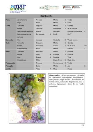 131
Boal Espinho
Planta Abrolhamento Precoce Médio X Tardio
Vigor Fraco Médio X Forte
Folha Tamanho Pequeno Médio X Grande
Forma Orbicular Pentagonal X Nº de lóbulos 3
Seio peciolar/abertura Aberto Fechado Lóbulos sobrepostos X
Seio peciolar/forma
da base
Em chaveta X Em U Em V
Sarmento Cor Amarela Castanha X Violeta averm.
Cacho Tamanho Pequeno Médio X Grande
Forma Cilíndrica Cónica X Nº de asas 1/2
Compacidade Baixa Média Elevada X
Bago Tamanho Pequeno Médio X Grande
Forma Oval X Esférica X Elíptica
Cor Branca X Rosada Tinta
Consistência Mole Ligeir. firme X Muito firme
Precocidade Precoce Semi precoce X Tardia
Produção Baixa Média X Alta X
Aptidão Vinho X Mesa Passa
Observações: - Casta portuguesa, cultivada
na Estremadura, com média a alta produção,
semi precoce, vigor médio. Cacho médio, de
forma cónica, compacto. Bago médio, oval a
esférico, ligeiramente firme de cor verde
amarelado.
 