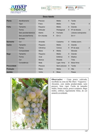 147
Doce Azedo
Planta Abrolhamento Precoce Médio X Tardio
Vigor Fraco Médio Forte X
Folha Tamanho Pequeno Médio X Grande
Forma Orbicular Pentagonal X Nº de lóbulos 3
Seio peciolar/abertura Aberto X Fechado Lóbulos sobrepostos
Seio peciolar/forma
da base
Em chaveta X Em U Em V
Sarmento Cor Amarela Castanha X Violeta averm.
Cacho Tamanho Pequeno Médio X Grande
Forma Cilíndrica Cónica X Nº de asas 2
Compacidade Baixa X Média Elevada
Bago Tamanho Pequeno Médio X Grande
Forma Oval Esférica X Elíptica
Cor Branca Rosada Tinta
Consistência Mole Ligeir. firme X Muito firme
Precocidade Precoce Semi precoce X Tardia
Produção Baixa Média X Alta X
Aptidão Vinho X Mesa Passa
Observações: - Casta pouco cultivada,
recolhida na zona de Pão Duro / Vaqueiros /
Alcoutim, com média produtividade, semi
precoce, forte vigor. Cacho de tamanho
médio, forma cónica, pouco compacto. Bago
médio, esférico, ligeiramente firme, de cor
amarelo esverdeado.
 