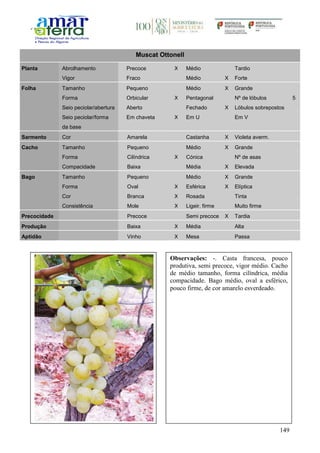 149
Muscat Ottonell
Planta Abrolhamento Precoce X Médio Tardio
Vigor Fraco Médio X Forte
Folha Tamanho Pequeno Médio X Grande
Forma Orbicular X Pentagonal Nº de lóbulos 5
Seio peciolar/abertura Aberto Fechado X Lóbulos sobrepostos
Seio peciolar/forma
da base
Em chaveta X Em U Em V
Sarmento Cor Amarela Castanha X Violeta averm.
Cacho Tamanho Pequeno Médio X Grande
Forma Cilíndrica X Cónica Nº de asas
Compacidade Baixa Média X Elevada
Bago Tamanho Pequeno Médio X Grande
Forma Oval X Esférica X Elíptica
Cor Branca X Rosada Tinta
Consistência Mole X Ligeir. firme Muito firme
Precocidade Precoce Semi precoce X Tardia
Produção Baixa X Média Alta
Aptidão Vinho X Mesa Passa
Observações: -. Casta francesa, pouco
produtiva, semi precoce, vigor médio. Cacho
de médio tamanho, forma cilíndrica, média
compacidade. Bago médio, oval a esférico,
pouco firme, de cor amarelo esverdeado.
 