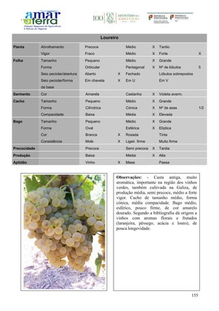 155
Loureiro
Planta Abrolhamento Precoce Médio X Tardio
Vigor Fraco Médio X Forte X
Folha Tamanho Pequeno Médio X Grande
Forma Orbicular Pentagonal X Nº de lóbulos 5
Seio peciolar/abertura Aberto X Fechado Lóbulos sobrepostos
Seio peciolar/forma
da base
Em chaveta X Em U Em V
Sarmento Cor Amarela Castanha X Violeta averm.
Cacho Tamanho Pequeno Médio X Grande
Forma Cilíndrica Cónica X Nº de asas 1/2
Compacidade Baixa Média X Elevada
Bago Tamanho Pequeno Médio X Grande
Forma Oval Esférica X Elíptica
Cor Branca X Rosada Tinta
Consistência Mole X Ligeir. firme Muito firme
Precocidade Precoce Semi precoce X Tardia
Produção Baixa Média X Alta
Aptidão Vinho X Mesa Passa
Observações: - Casta antiga, muito
aromática, importante na região dos vinhos
verdes, também cultivada na Galiza, de
produção média, semi precoce, médio a forte
vigor. Cacho de tamanho médio, forma
cónica, média compacidade. Bago médio,
esférico, pouco firme, de cor amarelo
dourado. Segundo a bibliografia dá origem a
vinhos com aromas florais e frutados
(laranjeira, pêssego, acácia e louro), de
pouca longevidade.
 