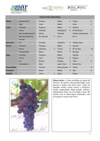 7
Crato Preto (Porches)
Planta Abrolhamento Precoce Médio X Tardio X
Vigor Fraco Médio Forte X
Folha Tamanho Pequeno Médio X Grande
Forma Orbicular Pentagonal X Nº de lóbulos 5
Seio peciolar/abertura Aberto Fechado Lóbulos sobrepostos X
Seio peciolar/forma
da base
Em chaveta X Em U Em V
Sarmento Cor Amarela Castanha X Violeta averm.
Cacho Tamanho Pequeno Médio X Grande
Forma Cilíndrica X Cónica X Nº de asas 1/2
Compacidade Baixa Média X Elevada
Bago Tamanho Pequeno Médio Grande X
Forma Oval Esférica X Elíptica
Cor Branca Rosada X Tinta X
Consistência Mole Ligeir. firme X Muito firme
Precocidade Precoce Semi precoce X Tardia X
Produção Baixa Média X Alta X
Aptidão Vinho X Mesa Passa
Observações: - Casta recolhida na região de
Porches, de média a alta produtividade, semi
precoce a tardia, com forte vigor. Cacho de
tamanho médio, forma cónica a cilíndrica,
média compacidade. Bago grande, esférico,
ligeiramente firme, de cor rosada a tinta. De
acordo com as observações efectuadas, não
nos parece a casta Crato Preto.
 