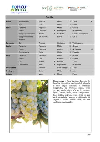 169
Semillon
Planta Abrolhamento Precoce Médio X Tardio X
Vigor Fraco Médio X Forte
Folha Tamanho Pequeno Médio X Grande
Forma Orbicular X Pentagonal Nº de lóbulos 5
Seio peciolar/abertura Aberto X Fechado Lóbulos sobrepostos
Seio peciolar/forma
da base
Em chaveta Em U X Em V
Sarmento Cor Amarela Castanha X Violeta averm.
Cacho Tamanho Pequeno Médio X Grande
Forma Cilíndrica Cónica X Nº de asas 1/2
Compacidade Baixa Média X Elevada
Bago Tamanho Pequeno Médio X Grande
Forma Oval Esférica X Elíptica
Cor Branca X Rosada Tinta
Consistência Mole X Ligeir. firme Muito firme
Precocidade Precoce Semi precoce X Tardia
Produção Baixa Média X Alta
Aptidão Vinho X Mesa Passa
Observações: - Casta francesa, da região de
Bordéus, difundida a nível mundial, adaptada
a solos argilo calcários e ambientes
temperados, de produção média, semi
precoce, médio vigor. Cacho de tamanho
médio, forma cónica, média compacidade.
Bago médio, esférico, pouco firme, de cor
verde amarelada. Segundo a bibliografia dá
origem a vinhos branco secos, de alta
qualidade, média acidez.
 