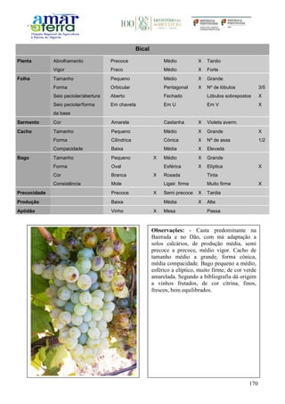 170
Bical
Planta Abrolhamento Precoce Médio X Tardio
Vigor Fraco Médio X Forte
Folha Tamanho Pequeno Médio X Grande
Forma Orbicular Pentagonal X Nº de lóbulos 3/5
Seio peciolar/abertura Aberto Fechado Lóbulos sobrepostos X
Seio peciolar/forma
da base
Em chaveta Em U Em V X
Sarmento Cor Amarela Castanha X Violeta averm.
Cacho Tamanho Pequeno Médio X Grande X
Forma Cilíndrica Cónica X Nº de asas 1/2
Compacidade Baixa Média X Elevada
Bago Tamanho Pequeno X Médio X Grande
Forma Oval Esférica X Elíptica X
Cor Branca X Rosada Tinta
Consistência Mole Ligeir. firme Muito firme X
Precocidade Precoce X Semi precoce X Tardia
Produção Baixa Média X Alta
Aptidão Vinho X Mesa Passa
Observações: - Casta predominante na
Bairrada e no Dão, com má adaptação a
solos calcários, de produção média, semi
precoce a precoce, médio vigor. Cacho de
tamanho médio a grande, forma cónica,
média compacidade. Bago pequeno a médio,
esférico a elíptico, muito firme, de cor verde
amarelada. Segundo a bibliografia dá origem
a vinhos frutados, de cor citrina, finos,
frescos, bem equilibrados.
 