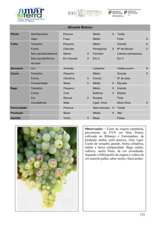 172
Alicante Branco
Planta Abrolhamento Precoce Médio X Tardio
Vigor Fraco Médio Forte X
Folha Tamanho Pequeno Médio Grande X
Forma Orbicular Pentagonal X Nº de lóbulos 3
Seio peciolar/abertura Aberto X Fechado Lóbulos sobrepostos
Seio peciolar/forma
da base
Em chaveta X Em U Em V
Sarmento Cor Amarela Castanha Violeta averm. X
Cacho Tamanho Pequeno Médio Grande X
Forma Cilíndrica X Cónica Nº de asas
Compacidade Baixa X Média X Elevada
Bago Tamanho Pequeno Médio X Grande
Forma Oval Esférica X Elíptica
Cor Branca X Rosada Tinta
Consistência Mole Ligeir. firme Muito firme X
Precocidade Precoce Semi precoce X Tardia
Produção Baixa Média X Alta
Aptidão Vinho X Mesa Passa
Observações: - Casta de origem espanhola,
proveniente da EVN em Dois Portos,
cultivada no Ribatejo e Estremadura, de
produção média, semi precoce, forte vigor.
Cacho de tamanho grande, forma cilíndrica,
média a baixa compacidade. Bago médio,
esférico, muito firme, de cor esverdeada.
Segundo a bibliografia dá origem a vinhos de
cor amarelo palha, sabor neutro, fraca acidez.
 