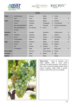 174
Larião
Planta Abrolhamento Precoce Médio X Tardio
Vigor Fraco Médio Forte X
Folha Tamanho Pequeno Médio X Grande
Forma Orbicular Pentagonal X Nº de lóbulos 5
Seio peciolar/abertura Aberto Fechado X Lóbulos sobrepostos
Seio peciolar/forma
da base
Em chaveta X Em U Em V
Sarmento Cor Amarela Castanha Violeta averm. X
Cacho Tamanho Pequeno Médio Grande X
Forma Cilíndrica Cónica X Nº de asas 1/2
Compacidade Baixa Média Elevada X
Bago Tamanho Pequeno Médio X Grande X
Forma Oval Esférica X Elíptica
Cor Branca X Rosada Tinta
Consistência Mole Ligeir. firme Muito firme X
Precocidade Precoce Semi precoce X Tardia
Produção Baixa X Média X Alta
Aptidão Vinho Mesa Passa
Observações: - Casta do Alentejo, com
dupla aptidão, vinho e mesa, pouco
cultivada, de média produção, semi precoce,
forte vigor. Cacho de tamanho grande, forma
cónica, compacto. Bago médio a grande,
esférico, muito firme, de cor esverdeada.
 