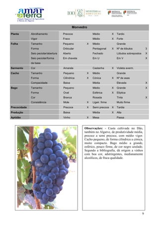 9
Monvedro
Planta Abrolhamento Precoce Médio X Tardio
Vigor Fraco Médio X Forte
Folha Tamanho Pequeno X Médio Grande
Forma Orbicular Pentagonal X Nº de lóbulos 3
Seio peciolar/abertura Aberto Fechado Lóbulos sobrepostos X
Seio peciolar/forma
da base
Em chaveta Em U Em V X
Sarmento Cor Amarela Castanha X Violeta averm.
Cacho Tamanho Pequeno X Médio Grande
Forma Cilíndrica X Cónica X Nº de asas
Compacidade Baixa Média Elevada X
Bago Tamanho Pequeno Médio X Grande X
Forma Oval Esférica X Elíptica
Cor Branca Rosada Tinta X
Consistência Mole X Ligeir. firme Muito firme
Precocidade Precoce X Semi precoce X Tardia
Produção Baixa Média X Alta
Aptidão Vinho X Mesa Passa
Observações: - Casta cultivada no Dão,
também no Algarve, de produtividade média,
precoce a semi precoce, com médio vigor.
Cacho pequeno, de forma cilíndrica a cónica,
muito compacto. Bago médio a grande,
esférico, pouco firme, de cor negro azulado.
Segundo a bibliografia, dá origem a vinhos
com boa cor, adstringentes, medianamente
alcoólicos, de fraca qualidade.
 