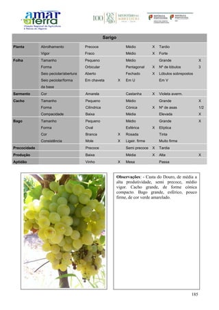 185
Sarigo
Planta Abrolhamento Precoce Médio X Tardio
Vigor Fraco Médio X Forte
Folha Tamanho Pequeno Médio Grande X
Forma Orbicular Pentagonal X Nº de lóbulos 3
Seio peciolar/abertura Aberto Fechado X Lóbulos sobrepostos
Seio peciolar/forma
da base
Em chaveta X Em U Em V
Sarmento Cor Amarela Castanha X Violeta averm.
Cacho Tamanho Pequeno Médio Grande X
Forma Cilíndrica Cónica X Nº de asas 1/2
Compacidade Baixa Média Elevada X
Bago Tamanho Pequeno Médio Grande X
Forma Oval Esférica X Elíptica
Cor Branca X Rosada Tinta
Consistência Mole X Ligeir. firme Muito firme
Precocidade Precoce Semi precoce X Tardia
Produção Baixa Média X Alta X
Aptidão Vinho X Mesa Passa
Observações: - Casta do Douro, de média a
alta produtividade, semi precoce, médio
vigor. Cacho grande, de forme cónica
compacto. Bago grande, esférico, pouco
firme, de cor verde amarelado.
 