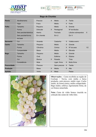 186
Bago de Chumbo
Planta Abrolhamento Precoce X Médio X Tardio
Vigor Fraco Médio X Forte
Folha Tamanho Pequeno Médio X Grande
Forma Orbicular X Pentagonal Nº de lóbulos
Seio peciolar/abertura Aberto Fechado Lóbulos sobrepostos X
Seio peciolar/forma
da base
Em chaveta Em U Em V
Sarmento Cor Amarela Castanha X Violeta averm.
Cacho Tamanho Pequeno Médio X Grande
Forma Cilíndrica Cónica X Nº de asas 1/2
Compacidade Baixa Média X Elevada
Bago Tamanho Pequeno Médio X Grande
Forma Oval Esférica X Elíptica
Cor Branca X Rosada Tinta
Consistência Mole Ligeir. firme X Muito firme
Precocidade Precoce Semi precoce X Tardia
Produção Baixa X Média X Alta
Aptidão Vinho X Mesa Passa
Observações: - Casta recolhida na região de
Cachopo / Tavira, com média a baixa
produção, semi precoce, médio vigor. Cacho
médio, de forma cónica, média compacidade.
Bago médio, esférico, ligeiramente firme, de
cor branco amarelada.
Nota: Casta de vinho branco inserida na
colecção das castas de vinho tinto.
 