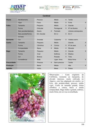 188
Cardinal
Planta Abrolhamento Precoce Médio X Tardio
Vigor Fraco Médio X Forte X
Folha Tamanho Pequeno Médio X Grande
Forma Orbicular Pentagonal X Nº de lóbulos 5
Seio peciolar/abertura Aberto X Fechado Lóbulos sobrepostos
Seio peciolar/forma
da base
Em chaveta Em U X Em V
Sarmento Cor Amarela Castanha X Violeta averm.
Cacho Tamanho Pequeno Médio Grande X
Forma Cilíndrica X Cónica X Nº de asas 2
Compacidade Baixa X Média X Elevada
Bago Tamanho Pequeno Médio X Grande X
Forma Oval Esférica X Elíptica
Cor Branca Rosada X Tinta
Consistência Mole Ligeir. firme Muito firme X
Precocidade Precoce X Semi precoce Tardia
Produção Baixa Média Alta X
Aptidão Vinho Mesa X Passa
Observações: - Casta originária da
Califórnia, resistente ao transporte, de
elevado interesse, muito cultivada no
Algarve, com boa adaptação em estufa e ar
livre, alta produtividade, precoce, médio
vigor. Cacho de tamanho grande, forma
cilíndrica a cónica, baixa a média
compacidade. Bago médio a grande, esférico,
muito firme, de cor rosa avermelhada.
 