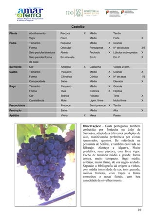 10
Castelão
Planta Abrolhamento Precoce X Médio Tardio
Vigor Fraco Médio Forte X
Folha Tamanho Pequeno Médio X Grande
Forma Orbicular Pentagonal X Nº de lóbulos 3/5
Seio peciolar/abertura Aberto Fechado X Lóbulos sobrepostos X
Seio peciolar/forma
da base
Em chaveta Em U Em V X
Sarmento Cor Amarela X Castanha Violeta averm.
Cacho Tamanho Pequeno Médio X Grande X
Forma Cilíndrica Cónica X Nº de asas 1/2
Compacidade Baixa Média Elevada X
Bago Tamanho Pequeno Médio X Grande
Forma Oval Esférica X Elíptica
Cor Branca Rosada Tinta X
Consistência Mole Ligeir. firme Muito firme X
Precocidade Precoce Semi precoce X Tardia
Produção Baixa Média Alta X
Aptidão Vinho X Mesa Passa
Observações: - Casta portuguesa, também
conhecida por Periquita ou João de
Santarém, adaptada a diferentes condições de
solo, manifestando preferência por climas
temperados, quentes. De referência na
península de Setúbal, é também cultivada no
Ribatejo, Alentejo e Algarve. Muito
produtiva, semi precoce, com forte vigor.
Cacho de tamanho médio a grande, forma
cónica, muito compacto. Bago médio,
esférico, muito firme, de cor negro azulado.
Segundo a bibliografia dá origem a vinhos,
com média intensidade de cor, tons granada,
aromas frutados, com traços a frutos
vermelhos e notas florais, com boa
capacidade de envelhecimento.
 