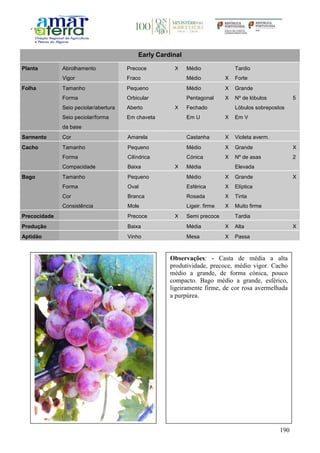 190
Early Cardinal
Planta Abrolhamento Precoce X Médio Tardio
Vigor Fraco Médio X Forte
Folha Tamanho Pequeno Médio X Grande
Forma Orbicular Pentagonal X Nº de lóbulos 5
Seio peciolar/abertura Aberto X Fechado Lóbulos sobrepostos
Seio peciolar/forma
da base
Em chaveta Em U X Em V
Sarmento Cor Amarela Castanha X Violeta averm.
Cacho Tamanho Pequeno Médio X Grande X
Forma Cilíndrica Cónica X Nº de asas 2
Compacidade Baixa X Média Elevada
Bago Tamanho Pequeno Médio X Grande X
Forma Oval Esférica X Elíptica
Cor Branca Rosada X Tinta
Consistência Mole Ligeir. firme X Muito firme
Precocidade Precoce X Semi precoce Tardia
Produção Baixa Média X Alta X
Aptidão Vinho Mesa X Passa
Observações: - Casta de média a alta
produtividade, precoce, médio vigor. Cacho
médio a grande, de forma cónica, pouco
compacto. Bago médio a grande, esférico,
ligeiramente firme, de cor rosa avermelhada
a purpúrea.
 