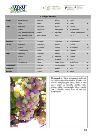 192
Coração de Galo
Planta Abrolhamento Precoce Médio X Tardio
Vigor Fraco Médio X Forte X
Folha Tamanho Pequeno Médio X Grande
Forma Orbicular Pentagonal X Nº de lóbulos 5
Seio peciolar/abertura Aberto X Fechado Lóbulos sobrepostos
Seio peciolar/forma
da base
Em chaveta Em U Em V X
Sarmento Cor Amarela Castanha X Violeta averm.
Cacho Tamanho Pequeno Médio Grande X
Forma Cilíndrica Cónica X Nº de asas 1/2
Compacidade Baixa Média X Elevada
Bago Tamanho Pequeno Médio Grande X
Forma Oval X Esférica X Elíptica
Cor Branca Rosada X Tinta
Consistência Mole Ligeir. firme Muito firme X
Precocidade Precoce Semi precoce Tardia X
Produção Baixa Média X Alta X
Aptidão Vinho Mesa X Passa
Observações: - Casta antigamente cultivada
em pátios e quintais por todo o Algarve, com
média a alta produção, tardia, médio a forte
vigor. Cacho de tamanho grande, forma
cónica, média compacidade. Bago grande,
oval a elíptico, muito firme, de cor rosa
avermelhada.
 