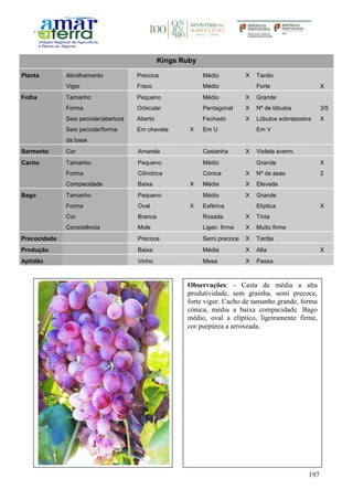 197
Kings Ruby
Planta Abrolhamento Precoce Médio X Tardio
Vigor Fraco Médio Forte X
Folha Tamanho Pequeno Médio X Grande
Forma Orbicular Pentagonal X Nº de lóbulos 3/5
Seio peciolar/abertura Aberto Fechado X Lóbulos sobrepostos X
Seio peciolar/forma
da base
Em chaveta X Em U Em V
Sarmento Cor Amarela Castanha X Violeta averm.
Cacho Tamanho Pequeno Médio Grande X
Forma Cilíndrica Cónica X Nº de asas 2
Compacidade Baixa X Média X Elevada
Bago Tamanho Pequeno Médio X Grande
Forma Oval X Esférica Elíptica X
Cor Branca Rosada X Tinta
Consistência Mole Ligeir. firme X Muito firme
Precocidade Precoce Semi precoce X Tardia
Produção Baixa Média X Alta X
Aptidão Vinho Mesa X Passa
Observações: - Casta de média a alta
produtividade, sem grainha, semi precoce,
forte vigor. Cacho de tamanho grande, forma
cónica, média a baixa compacidade. Bago
médio, oval a elíptico, ligeiramente firme,
cor purpúrea a arroxeada.
 