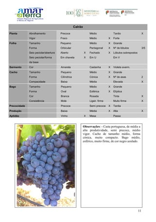 11
Calrão
Planta Abrolhamento Precoce Médio Tardio X
Vigor Fraco Médio X Forte
Folha Tamanho Pequeno Médio X Grande
Forma Orbicular Pentagonal X Nº de lóbulos 3/5
Seio peciolar/abertura Aberto X Fechado X Lóbulos sobrepostos
Seio peciolar/forma
da base
Em chaveta X Em U Em V
Sarmento Cor Amarela Castanha X Violeta averm.
Cacho Tamanho Pequeno Médio X Grande
Forma Cilíndrica Cónica X Nº de asas 2
Compacidade Baixa Média Elevada X
Bago Tamanho Pequeno Médio X Grande
Forma Oval Esférica X Elíptica
Cor Branca Rosada Tinta X
Consistência Mole Ligeir. firme Muito firme X
Precocidade Precoce Semi precoce X Tardia
Produção Baixa Média X Alta X
Aptidão Vinho X Mesa Passa
Observações: - Casta portuguesa, de média a
alta produtividade, semi precoce, médio
vigor. Cacho de tamanho médio, forma
cónica, muito compacto. Bago médio,
esférico, muito firme, de cor negro azulado.
 