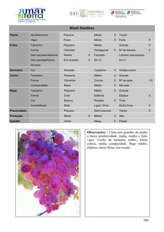 200
Blush Seedless
Planta Abrolhamento Precoce Médio X Tardio
Vigor Fraco Médio X Forte X
Folha Tamanho Pequeno Médio Grande X
Forma Orbicular Pentagonal X Nº de lóbulos 5
Seio peciolar/abertura Aberto X Fechado Lóbulos sobrepostos
Seio peciolar/forma
da base
Em chaveta X Em U Em V
Sarmento Cor Amarela Castanha X Violeta averm.
Cacho Tamanho Pequeno Médio X Grande
Forma Cilíndrica Cónica X Nº de asas 1/2
Compacidade Baixa Média X Elevada
Bago Tamanho Pequeno Médio X Grande
Forma Oval Esférica Elíptica X
Cor Branca Rosada X Tinta
Consistência Mole Ligeir. firme Muito firme X
Precocidade Precoce Semi precoce Tardia X
Produção Baixa X Média X Alta
Aptidão Vinho Mesa X Passa
Observações: - Casta sem grainha, de média
a baixa produtividade, tardia, médio a forte
vigor. Cacho de tamanho médio, forma
cónica, média compacidade. Bago médio,
elíptico, muito firme, cor rosada.
 