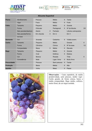 202
Alicante Espanhol
Planta Abrolhamento Precoce Médio X Tardio
Vigor Fraco Médio X Forte
Folha Tamanho Pequeno Médio X Grande
Forma Orbicular Pentagonal X Nº de lóbulos 3/5
Seio peciolar/abertura Aberto X Fechado Lóbulos sobrepostos
Seio peciolar/forma
da base
Em chaveta X Em U Em V
Sarmento Cor Amarela Castanha X Violeta averm.
Cacho Tamanho Pequeno Médio Grande X
Forma Cilíndrica Cónica X Nº de asas 1/2
Compacidade Baixa X Média X Elevada
Bago Tamanho Pequeno Médio X Grande
Forma Oval Esférica X Elíptica
Cor Branca Rosada Tinta X
Consistência Mole Ligeir. firme X Muito firme
Precocidade Precoce Semi precoce X Tardia
Produção Baixa Média X Alta
Aptidão Vinho Mesa X Passa
Observações: - Casta espanhola, de média
produtividade, semi precoce, médio vigor.
Cacho grande, de forme cónica, baixa a
média compacidade. Bago médio, esférico,
muito firme, de cor negro azulada.
 