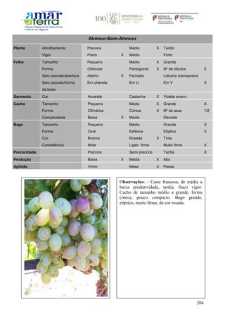204
Ahmour-Bom-Ahmour
Planta Abrolhamento Precoce Médio X Tardio
Vigor Fraco X Médio Forte
Folha Tamanho Pequeno Médio X Grande
Forma Orbicular Pentagonal X Nº de lóbulos 5
Seio peciolar/abertura Aberto X Fechado Lóbulos sobrepostos
Seio peciolar/forma
da base
Em chaveta Em U Em V X
Sarmento Cor Amarela Castanha X Violeta averm.
Cacho Tamanho Pequeno Médio X Grande X
Forma Cilíndrica Cónica X Nº de asas 1/2
Compacidade Baixa X Média Elevada
Bago Tamanho Pequeno Médio Grande X
Forma Oval Esférica Elíptica X
Cor Branca Rosada X Tinta
Consistência Mole Ligeir. firme Muito firme X
Precocidade Precoce Semi precoce Tardia X
Produção Baixa X Média X Alta
Aptidão Vinho Mesa X Passa
Observações: - Casta francesa, de média a
baixa produtividade, tardia, fraco vigor.
Cacho de tamanho médio a grande, forma
cónica, pouco compacto. Bago grande,
elíptico, muito firme, de cor rosada.
 