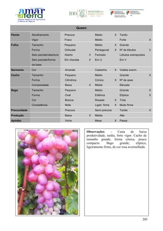 205
Queen
Planta Abrolhamento Precoce Médio X Tardio
Vigor Fraco Médio Forte X
Folha Tamanho Pequeno Médio X Grande
Forma Orbicular Pentagonal X Nº de lóbulos 3
Seio peciolar/abertura Aberto X Fechado Lóbulos sobrepostos
Seio peciolar/forma
da base
Em chaveta X Em U Em V
Sarmento Cor Amarela Castanha X Violeta averm.
Cacho Tamanho Pequeno Médio Grande X
Forma Cilíndrica Cónica X Nº de asas
Compacidade Baixa X Média Elevada
Bago Tamanho Pequeno Médio Grande X
Forma Oval Esférica Elíptica X
Cor Branca Rosada X Tinta
Consistência Mole Ligeir. firme X Muito firme
Precocidade Precoce Semi precoce Tardia X
Produção Baixa X Média Alta
Aptidão Vinho Mesa X Passa
Observações: - Casta de baixa
produtividade, tardia, forte vigor. Cacho de
tamanho grande, forma cónica, pouco
compacto. Bago grande, elíptico,
ligeiramente firme, de cor rosa avermelhada.
 