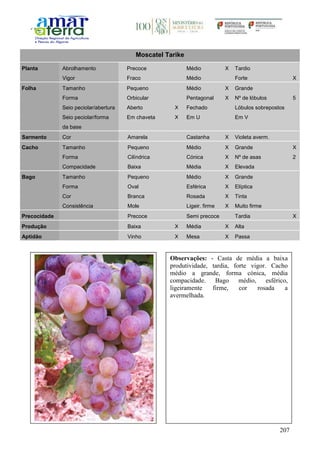207
Moscatel Tarike
Planta Abrolhamento Precoce Médio X Tardio
Vigor Fraco Médio Forte X
Folha Tamanho Pequeno Médio X Grande
Forma Orbicular Pentagonal X Nº de lóbulos 5
Seio peciolar/abertura Aberto X Fechado Lóbulos sobrepostos
Seio peciolar/forma
da base
Em chaveta X Em U Em V
Sarmento Cor Amarela Castanha X Violeta averm.
Cacho Tamanho Pequeno Médio X Grande X
Forma Cilíndrica Cónica X Nº de asas 2
Compacidade Baixa Média X Elevada
Bago Tamanho Pequeno Médio X Grande
Forma Oval Esférica X Elíptica
Cor Branca Rosada X Tinta
Consistência Mole Ligeir. firme X Muito firme
Precocidade Precoce Semi precoce Tardia X
Produção Baixa X Média X Alta
Aptidão Vinho X Mesa X Passa
Observações: - Casta de média a baixa
produtividade, tardia, forte vigor. Cacho
médio a grande, forma cónica, média
compacidade. Bago médio, esférico,
ligeiramente firme, cor rosada a
avermelhada.
 