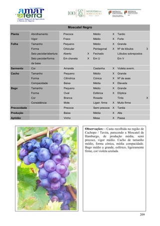209
Moscatel Negro
Planta Abrolhamento Precoce Médio X Tardio
Vigor Fraco Médio X Forte
Folha Tamanho Pequeno Médio X Grande
Forma Orbicular Pentagonal X Nº de lóbulos 3
Seio peciolar/abertura Aberto X Fechado Lóbulos sobrepostos
Seio peciolar/forma
da base
Em chaveta X Em U Em V
Sarmento Cor Amarela Castanha X Violeta averm.
Cacho Tamanho Pequeno Médio X Grande
Forma Cilíndrica Cónica X Nº de asas
Compacidade Baixa Média X Elevada
Bago Tamanho Pequeno Médio X Grande
Forma Oval Esférica X Elíptica
Cor Branca Rosada Tinta X
Consistência Mole Ligeir. firme X Muito firme
Precocidade Precoce Semi precoce X Tardia
Produção Baixa Média X Alta
Aptidão Vinho Mesa X Passa
Observações: - Casta recolhida na região de
Cachopo / Tavira, parecendo a Moscatel de
Hamburgo, de produção média, semi
precoce, vigor médio. Cacho de tamanho
médio, forma cónica, média compacidade.
Bago médio a grande, esférico, ligeiramente
firme, cor violeta azulada.
 