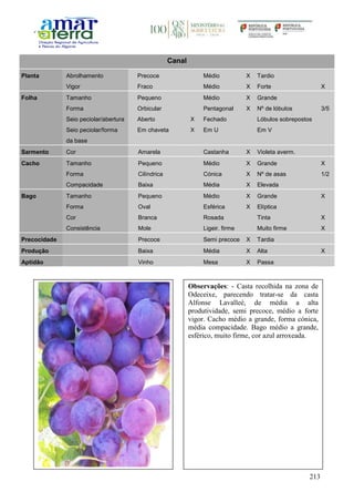 213
Canal
Planta Abrolhamento Precoce Médio X Tardio
Vigor Fraco Médio X Forte X
Folha Tamanho Pequeno Médio X Grande
Forma Orbicular Pentagonal X Nº de lóbulos 3/5
Seio peciolar/abertura Aberto X Fechado Lóbulos sobrepostos
Seio peciolar/forma
da base
Em chaveta X Em U Em V
Sarmento Cor Amarela Castanha X Violeta averm.
Cacho Tamanho Pequeno Médio X Grande X
Forma Cilíndrica Cónica X Nº de asas 1/2
Compacidade Baixa Média X Elevada
Bago Tamanho Pequeno Médio X Grande X
Forma Oval Esférica X Elíptica
Cor Branca Rosada Tinta X
Consistência Mole Ligeir. firme Muito firme X
Precocidade Precoce Semi precoce X Tardia
Produção Baixa Média X Alta X
Aptidão Vinho Mesa X Passa
Observações: - Casta recolhida na zona de
Odeceixe, parecendo tratar-se da casta
Alfonse Lavalleé, de média a alta
produtividade, semi precoce, médio a forte
vigor. Cacho médio a grande, forma cónica,
média compacidade. Bago médio a grande,
esférico, muito firme, cor azul arroxeada.
 
