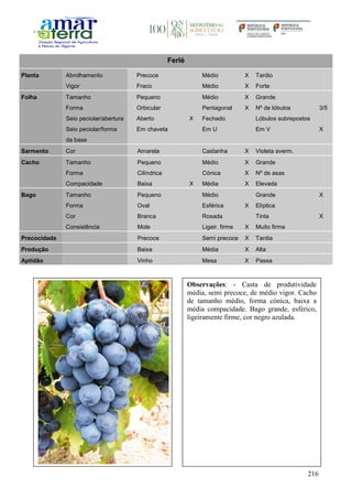 216
Ferlé
Planta Abrolhamento Precoce Médio X Tardio
Vigor Fraco Médio X Forte
Folha Tamanho Pequeno Médio X Grande
Forma Orbicular Pentagonal X Nº de lóbulos 3/5
Seio peciolar/abertura Aberto X Fechado Lóbulos sobrepostos
Seio peciolar/forma
da base
Em chaveta Em U Em V X
Sarmento Cor Amarela Castanha X Violeta averm.
Cacho Tamanho Pequeno Médio X Grande
Forma Cilíndrica Cónica X Nº de asas
Compacidade Baixa X Média X Elevada
Bago Tamanho Pequeno Médio Grande X
Forma Oval Esférica X Elíptica
Cor Branca Rosada Tinta X
Consistência Mole Ligeir. firme X Muito firme
Precocidade Precoce Semi precoce X Tardia
Produção Baixa Média X Alta
Aptidão Vinho Mesa X Passa
Observações: - Casta de produtividade
média, semi precoce, de médio vigor. Cacho
de tamanho médio, forma cónica, baixa a
média compacidade. Bago grande, esférico,
ligeiramente firme, cor negro azulada.
 