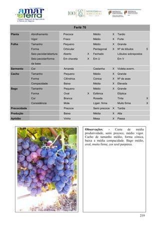 219
Ferlé 76
Planta Abrolhamento Precoce Médio X Tardio
Vigor Fraco Médio X Forte
Folha Tamanho Pequeno Médio X Grande
Forma Orbicular Pentagonal X Nº de lóbulos 5
Seio peciolar/abertura Aberto X Fechado Lóbulos sobrepostos
Seio peciolar/forma
da base
Em chaveta X Em U Em V
Sarmento Cor Amarela Castanha X Violeta averm.
Cacho Tamanho Pequeno Médio X Grande
Forma Cilíndrica Cónica X Nº de asas
Compacidade Baixa Média X Elevada
Bago Tamanho Pequeno Médio X Grande
Forma Oval X Esférica Elíptica
Cor Branca Rosada Tinta X
Consistência Mole Ligeir. firme Muito firme X
Precocidade Precoce Semi precoce X Tardia
Produção Baixa Média X Alta
Aptidão Vinho Mesa X Passa
Observações: - Casta de média
produtividade, semi precoce, médio vigor.
Cacho de tamanho médio, forma cónica,
baixa a média compacidade. Bago médio,
oval, muito firme, cor azul purpúrea.
 