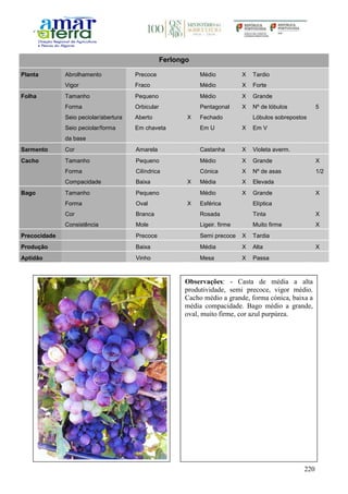 220
Ferlongo
Planta Abrolhamento Precoce Médio X Tardio
Vigor Fraco Médio X Forte
Folha Tamanho Pequeno Médio X Grande
Forma Orbicular Pentagonal X Nº de lóbulos 5
Seio peciolar/abertura Aberto X Fechado Lóbulos sobrepostos
Seio peciolar/forma
da base
Em chaveta Em U X Em V
Sarmento Cor Amarela Castanha X Violeta averm.
Cacho Tamanho Pequeno Médio X Grande X
Forma Cilíndrica Cónica X Nº de asas 1/2
Compacidade Baixa X Média X Elevada
Bago Tamanho Pequeno Médio X Grande X
Forma Oval X Esférica Elíptica
Cor Branca Rosada Tinta X
Consistência Mole Ligeir. firme Muito firme X
Precocidade Precoce Semi precoce X Tardia
Produção Baixa Média X Alta X
Aptidão Vinho Mesa X Passa
Observações: - Casta de média a alta
produtividade, semi precoce, vigor médio.
Cacho médio a grande, forma cónica, baixa a
média compacidade. Bago médio a grande,
oval, muito firme, cor azul purpúrea.
 