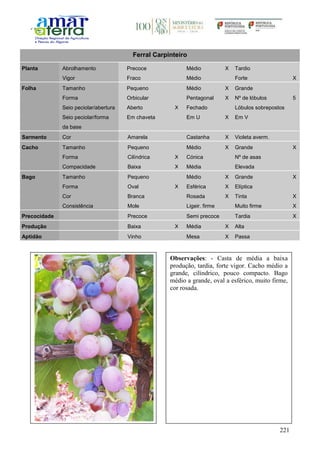 221
Ferral Carpinteiro
Planta Abrolhamento Precoce Médio X Tardio
Vigor Fraco Médio Forte X
Folha Tamanho Pequeno Médio X Grande
Forma Orbicular Pentagonal X Nº de lóbulos 5
Seio peciolar/abertura Aberto X Fechado Lóbulos sobrepostos
Seio peciolar/forma
da base
Em chaveta Em U X Em V
Sarmento Cor Amarela Castanha X Violeta averm.
Cacho Tamanho Pequeno Médio X Grande X
Forma Cilíndrica X Cónica Nº de asas
Compacidade Baixa X Média Elevada
Bago Tamanho Pequeno Médio X Grande X
Forma Oval X Esférica X Elíptica
Cor Branca Rosada X Tinta X
Consistência Mole Ligeir. firme Muito firme X
Precocidade Precoce Semi precoce Tardia X
Produção Baixa X Média X Alta
Aptidão Vinho Mesa X Passa
Observações: - Casta de média a baixa
produção, tardia, forte vigor. Cacho médio a
grande, cilíndrico, pouco compacto. Bago
médio a grande, oval a esférico, muito firme,
cor rosada.
 