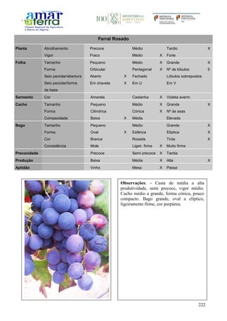 222
Ferral Rosado
Planta Abrolhamento Precoce Médio Tardio X
Vigor Fraco Médio X Forte
Folha Tamanho Pequeno Médio X Grande X
Forma Orbicular Pentagonal X Nº de lóbulos 5
Seio peciolar/abertura Aberto X Fechado Lóbulos sobrepostos
Seio peciolar/forma
da base
Em chaveta X Em U Em V
Sarmento Cor Amarela Castanha X Violeta averm.
Cacho Tamanho Pequeno Médio X Grande X
Forma Cilíndrica Cónica X Nº de asas
Compacidade Baixa X Média Elevada
Bago Tamanho Pequeno Médio Grande X
Forma Oval X Esférica Elíptica X
Cor Branca Rosada Tinta X
Consistência Mole Ligeir. firme X Muito firme
Precocidade Precoce Semi precoce X Tardia
Produção Baixa Média X Alta X
Aptidão Vinho Mesa X Passa
Observações: - Casta de média a alta
produtividade, semi precoce, vigor médio.
Cacho médio a grande, forma cónica, pouco
compacto. Bago grande, oval a elíptico,
ligeiramente firme, cor purpúrea.
 