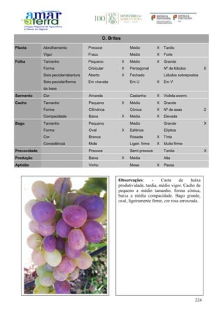 224
D. Brites
Planta Abrolhamento Precoce Médio X Tardio
Vigor Fraco Médio X Forte
Folha Tamanho Pequeno X Médio X Grande
Forma Orbicular X Pentagonal Nº de lóbulos 5
Seio peciolar/abertura Aberto X Fechado Lóbulos sobrepostos
Seio peciolar/forma
da base
Em chaveta Em U X Em V
Sarmento Cor Amarela Castanha X Violeta averm.
Cacho Tamanho Pequeno X Médio X Grande
Forma Cilíndrica Cónica X Nº de asas 2
Compacidade Baixa X Média X Elevada
Bago Tamanho Pequeno Médio Grande X
Forma Oval X Esférica Elíptica
Cor Branca Rosada X Tinta
Consistência Mole Ligeir. firme X Muito firme
Precocidade Precoce Semi precoce Tardia X
Produção Baixa X Média Alta
Aptidão Vinho Mesa X Passa
Observações: - Casta de baixa
produtividade, tardia, médio vigor. Cacho de
pequeno a médio tamanho, forma cónica,
baixa a média compacidade. Bago grande,
oval, ligeiramente firme, cor rosa arroxeada.
 
