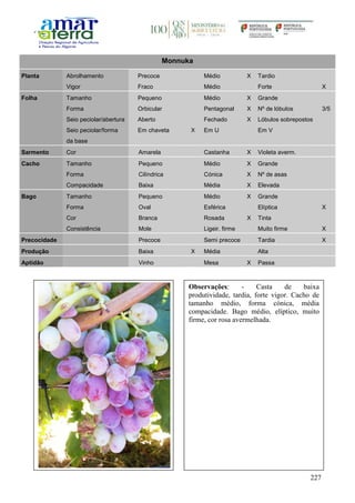 227
Monnuka
Planta Abrolhamento Precoce Médio X Tardio
Vigor Fraco Médio Forte X
Folha Tamanho Pequeno Médio X Grande
Forma Orbicular Pentagonal X Nº de lóbulos 3/5
Seio peciolar/abertura Aberto Fechado X Lóbulos sobrepostos
Seio peciolar/forma
da base
Em chaveta X Em U Em V
Sarmento Cor Amarela Castanha X Violeta averm.
Cacho Tamanho Pequeno Médio X Grande
Forma Cilíndrica Cónica X Nº de asas
Compacidade Baixa Média X Elevada
Bago Tamanho Pequeno Médio X Grande
Forma Oval Esférica Elíptica X
Cor Branca Rosada X Tinta
Consistência Mole Ligeir. firme Muito firme X
Precocidade Precoce Semi precoce Tardia X
Produção Baixa X Média Alta
Aptidão Vinho Mesa X Passa
Observações: - Casta de baixa
produtividade, tardia, forte vigor. Cacho de
tamanho médio, forma cónica, média
compacidade. Bago médio, elíptico, muito
firme, cor rosa avermelhada.
 