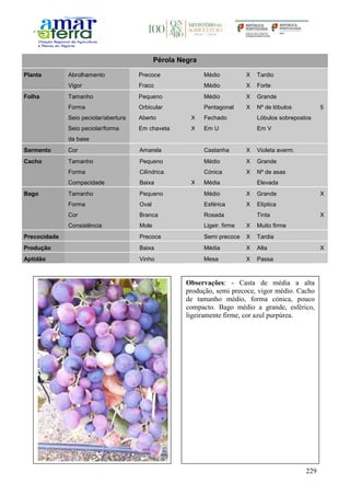 229
Pérola Negra
Planta Abrolhamento Precoce Médio X Tardio
Vigor Fraco Médio X Forte
Folha Tamanho Pequeno Médio X Grande
Forma Orbicular Pentagonal X Nº de lóbulos 5
Seio peciolar/abertura Aberto X Fechado Lóbulos sobrepostos
Seio peciolar/forma
da base
Em chaveta X Em U Em V
Sarmento Cor Amarela Castanha X Violeta averm.
Cacho Tamanho Pequeno Médio X Grande
Forma Cilíndrica Cónica X Nº de asas
Compacidade Baixa X Média Elevada
Bago Tamanho Pequeno Médio X Grande X
Forma Oval Esférica X Elíptica
Cor Branca Rosada Tinta X
Consistência Mole Ligeir. firme X Muito firme
Precocidade Precoce Semi precoce X Tardia
Produção Baixa Média X Alta X
Aptidão Vinho Mesa X Passa
Observações: - Casta de média a alta
produção, semi precoce, vigor médio. Cacho
de tamanho médio, forma cónica, pouco
compacto. Bago médio a grande, esférico,
ligeiramente firme, cor azul purpúrea.
 