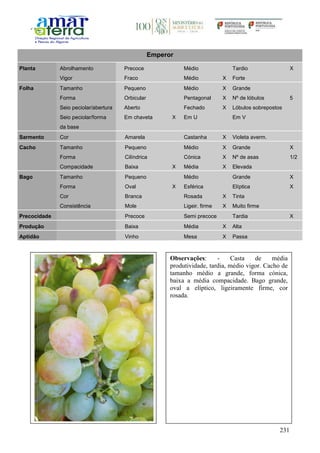 231
Emperor
Planta Abrolhamento Precoce Médio Tardio X
Vigor Fraco Médio X Forte
Folha Tamanho Pequeno Médio X Grande
Forma Orbicular Pentagonal X Nº de lóbulos 5
Seio peciolar/abertura Aberto Fechado X Lóbulos sobrepostos
Seio peciolar/forma
da base
Em chaveta X Em U Em V
Sarmento Cor Amarela Castanha X Violeta averm.
Cacho Tamanho Pequeno Médio X Grande X
Forma Cilíndrica Cónica X Nº de asas 1/2
Compacidade Baixa X Média X Elevada
Bago Tamanho Pequeno Médio Grande X
Forma Oval X Esférica Elíptica X
Cor Branca Rosada X Tinta
Consistência Mole Ligeir. firme X Muito firme
Precocidade Precoce Semi precoce Tardia X
Produção Baixa Média X Alta
Aptidão Vinho Mesa X Passa
Observações: - Casta de média
produtividade, tardia, médio vigor. Cacho de
tamanho médio a grande, forma cónica,
baixa a média compacidade. Bago grande,
oval a elíptico, ligeiramente firme, cor
rosada.
 