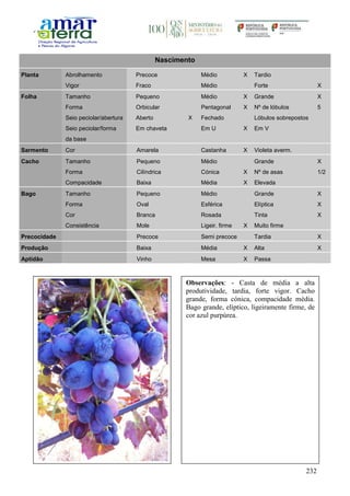 232
Nascimento
Planta Abrolhamento Precoce Médio X Tardio
Vigor Fraco Médio Forte X
Folha Tamanho Pequeno Médio X Grande X
Forma Orbicular Pentagonal X Nº de lóbulos 5
Seio peciolar/abertura Aberto X Fechado Lóbulos sobrepostos
Seio peciolar/forma
da base
Em chaveta Em U X Em V
Sarmento Cor Amarela Castanha X Violeta averm.
Cacho Tamanho Pequeno Médio Grande X
Forma Cilíndrica Cónica X Nº de asas 1/2
Compacidade Baixa Média X Elevada
Bago Tamanho Pequeno Médio Grande X
Forma Oval Esférica Elíptica X
Cor Branca Rosada Tinta X
Consistência Mole Ligeir. firme X Muito firme
Precocidade Precoce Semi precoce Tardia X
Produção Baixa Média X Alta X
Aptidão Vinho Mesa X Passa
Observações: - Casta de média a alta
produtividade, tardia, forte vigor. Cacho
grande, forma cónica, compacidade média.
Bago grande, elíptico, ligeiramente firme, de
cor azul purpúrea.
 
