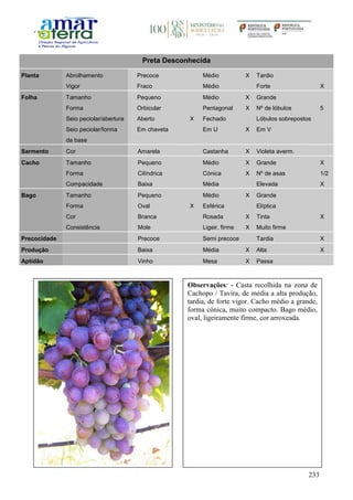 233
Preta Desconhecida
Planta Abrolhamento Precoce Médio X Tardio
Vigor Fraco Médio Forte X
Folha Tamanho Pequeno Médio X Grande
Forma Orbicular Pentagonal X Nº de lóbulos 5
Seio peciolar/abertura Aberto X Fechado Lóbulos sobrepostos
Seio peciolar/forma
da base
Em chaveta Em U X Em V
Sarmento Cor Amarela Castanha X Violeta averm.
Cacho Tamanho Pequeno Médio X Grande X
Forma Cilíndrica Cónica X Nº de asas 1/2
Compacidade Baixa Média Elevada X
Bago Tamanho Pequeno Médio X Grande
Forma Oval X Esférica Elíptica
Cor Branca Rosada X Tinta X
Consistência Mole Ligeir. firme X Muito firme
Precocidade Precoce Semi precoce Tardia X
Produção Baixa Média X Alta X
Aptidão Vinho Mesa X Passa
Observações: - Casta recolhida na zona de
Cachopo / Tavira, de média a alta produção,
tardia, de forte vigor. Cacho médio a grande,
forma cónica, muito compacto. Bago médio,
oval, ligeiramente firme, cor arroxeada.
 