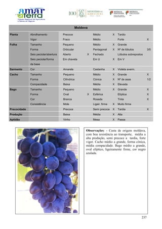 237
Moldova
Planta Abrolhamento Precoce Médio X Tardio
Vigor Fraco Médio Forte X
Folha Tamanho Pequeno Médio X Grande
Forma Orbicular Pentagonal X Nº de lóbulos 3/5
Seio peciolar/abertura Aberto X Fechado Lóbulos sobrepostos
Seio peciolar/forma
da base
Em chaveta Em U X Em V
Sarmento Cor Amarela Castanha X Violeta averm.
Cacho Tamanho Pequeno Médio X Grande X
Forma Cilíndrica Cónica X Nº de asas 1/2
Compacidade Baixa Média X Elevada
Bago Tamanho Pequeno Médio X Grande X
Forma Oval X Esférica Elíptica X
Cor Branca Rosada Tinta X
Consistência Mole Ligeir. firme X Muito firme
Precocidade Precoce Semi precoce X Tardia X
Produção Baixa Média X Alta
Aptidão Vinho Mesa X Passa
Observações: - Casta de origem moldava,
com boa resistência ao transporte, média a
alta produção, semi precoce a tardia, forte
vigor. Cacho médio a grande, forma cónica,
média compacidade. Bago médio a grande,
oval elíptico, ligeiramente firme, cor negro
azulada.
 