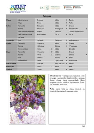 240
Princesa
Planta Abrolhamento Precoce Médio X Tardio
Vigor Fraco Médio X Forte
Folha Tamanho Pequeno Médio X Grande
Forma Orbicular Pentagonal X Nº de lóbulos 3
Seio peciolar/abertura Aberto X Fechado Lóbulos sobrepostos
Seio peciolar/forma
da base
Em chaveta Em U X Em V
Sarmento Cor Amarela Castanha X Violeta averm.
Cacho Tamanho Pequeno Médio X Grande X
Forma Cilíndrica Cónica X Nº de asas
Compacidade Baixa X Média Elevada
Bago Tamanho Pequeno X Médio Grande
Forma Oval X Esférica Elíptica X
Cor Branca Rosada X Tinta
Consistência Mole Ligeir. firme X Muito firme
Precocidade Precoce Semi precoce X Tardia
Produção Baixa X Média Alta
Aptidão Vinho Mesa X Passa
Observações: - Casta pouco produtiva, semi
precoce, vigor médio. Cacho médio a grande,
forma cónica, baixa compacidade. Bago
pequeno, oval a elíptico, ligeiramente firme,
cor rosada a arroxeada.
Nota: Casta tinta de mesa, inserida na
colecção das castas brancas de mesa.
 