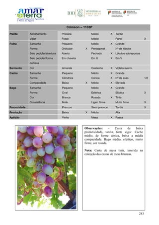 243
Crimson – 1103P
Planta Abrolhamento Precoce Médio X Tardio
Vigor Fraco Médio Forte X
Folha Tamanho Pequeno Médio X Grande
Forma Orbicular X Pentagonal Nº de lóbulos
Seio peciolar/abertura Aberto Fechado X Lóbulos sobrepostos
Seio peciolar/forma
da base
Em chaveta Em U X Em V
Sarmento Cor Amarela Castanha X Violeta averm.
Cacho Tamanho Pequeno Médio X Grande
Forma Cilíndrica Cónica X Nº de asas 1/2
Compacidade Baixa X Média X Elevada
Bago Tamanho Pequeno Médio X Grande
Forma Oval Esférica Elíptica X
Cor Branca Rosada X Tinta
Consistência Mole Ligeir. firme Muito firme X
Precocidade Precoce Semi precoce Tardia X
Produção Baixa X Média Alta
Aptidão Vinho Mesa X Passa
Observações: - Casta de baixa
produtividade, tardia, forte vigor. Cacho
médio, de forme cónica, baixa a média
compacidade. Bago médio, elíptico, muito
firme, cor rosada.
Nota: Casta de mesa tinta, inserida na
colecção das castas de mesa brancas.
 