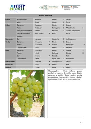 245
Panse Precoce
Planta Abrolhamento Precoce Médio X Tardio
Vigor Fraco Médio X Forte
Folha Tamanho Pequeno Médio X Grande
Forma Orbicular Pentagonal X Nº de lóbulos 5
Seio peciolar/abertura Aberto Fechado X Lóbulos sobrepostos
Seio peciolar/forma
da base
Em chaveta X Em U Em V
Sarmento Cor Amarela Castanha X Violeta averm.
Cacho Tamanho Pequeno X Médio X Grande
Forma Cilíndrica X Cónica Nº de asas 1/2
Compacidade Baixa Média X Elevada
Bago Tamanho Pequeno Médio X Grande X
Forma Oval Esférica Elíptica X
Cor Branca X Rosada Tinta
Consistência Mole Ligeir. firme X Muito firme
Precocidade Precoce X Semi precoce Tardia
Produção Baixa X Média Alta
Aptidão Vinho Mesa X Passa
Observações: - Casta italiana, pouco
produtiva, precoce, de médio vigor. Cacho
pequeno a médio, forma cónica, média
compacidade. Bago médio a grande, elíptico,
ligeiramente firme, de cor verde amarelada.
 