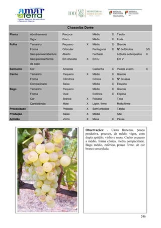 246
Chasselás Dorée
Planta Abrolhamento Precoce Médio X Tardio
Vigor Fraco Médio X Forte
Folha Tamanho Pequeno X Médio X Grande
Forma Orbicular Pentagonal X Nº de lóbulos 3/5
Seio peciolar/abertura Aberto Fechado Lóbulos sobrepostos X
Seio peciolar/forma
da base
Em chaveta X Em U Em V
Sarmento Cor Amarela Castanha X Violeta averm. X
Cacho Tamanho Pequeno X Médio X Grande
Forma Cilíndrica Cónica X Nº de asas
Compacidade Baixa Média X Elevada
Bago Tamanho Pequeno Médio X Grande
Forma Oval Esférica X Elíptica
Cor Branca X Rosada Tinta
Consistência Mole X Ligeir. firme Muito firme
Precocidade Precoce X Semi precoce Tardia
Produção Baixa X Média Alta
Aptidão Vinho X Mesa X Passa
Observações: - Casta francesa, pouco
produtiva, precoce, de médio vigor, com
dupla aptidão, vinho e mesa. Cacho pequeno
a médio, forma cónica, média compacidade.
Bago médio, esférico, pouco firme, de cor
branco amarelada.
 